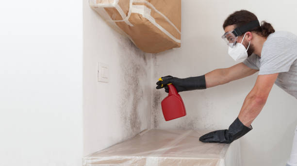 Professional Basement Mold Remediation technician working in Pineville, NC