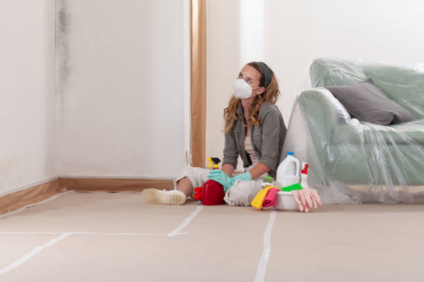 Reliable Basement Mold Remediation contractor in Pineville, NC by 24 Hour Mold Removal